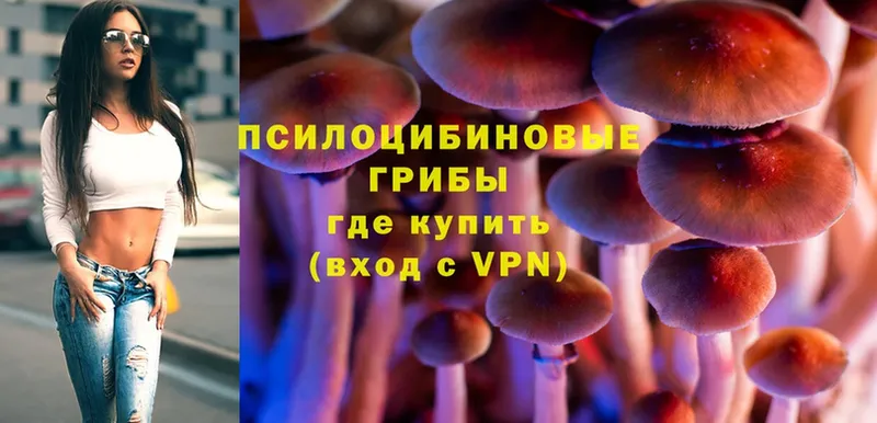 Псилоцибиновые грибы Magic Shrooms Новочебоксарск